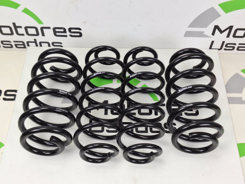Eibach Molas Audi A6 E10-15-018-01-22 ( NOVO)