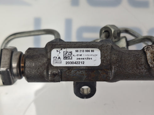 Régua de Injeção Peugeot/Citroen 9821399680