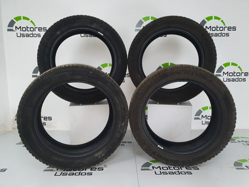 Pneus Michelin Cross Climate 225/55 R19